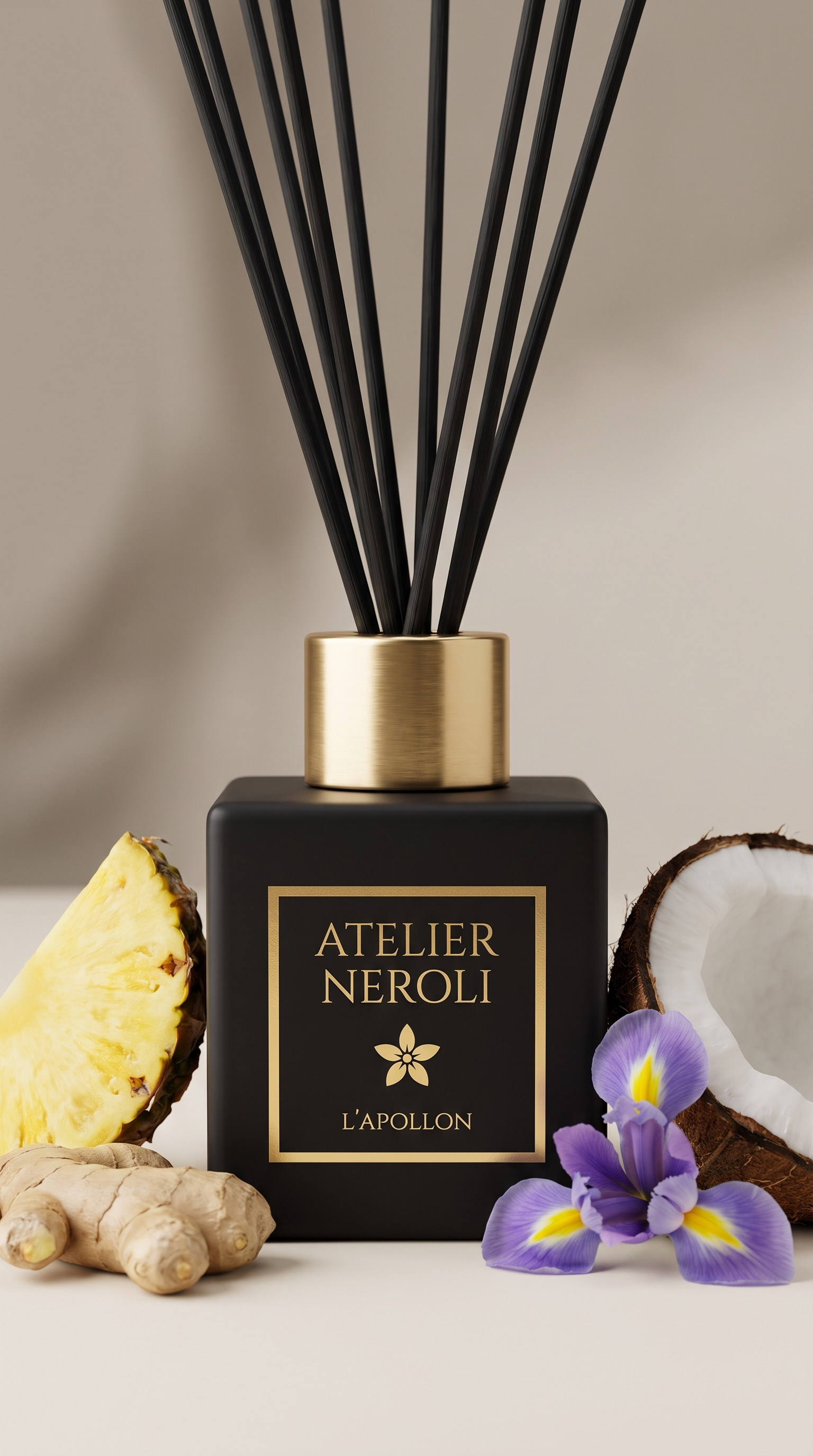Diffuseur Maison – L'Apollon