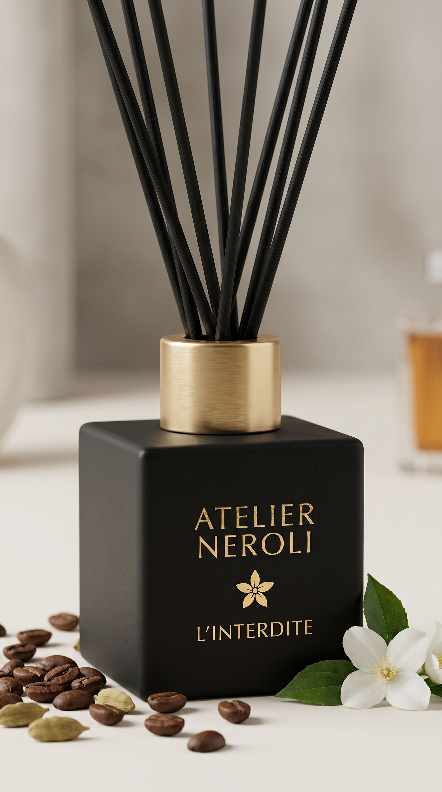 Diffuseur Maison – Minuit Noir