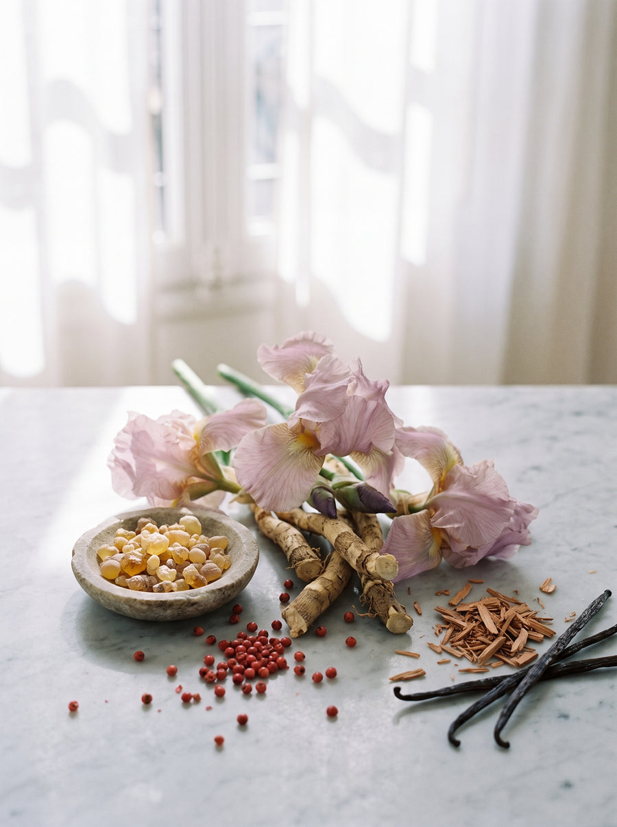 Iris pallida, encens et vanille bourbon — matières de la Bougie Songe d'Argent