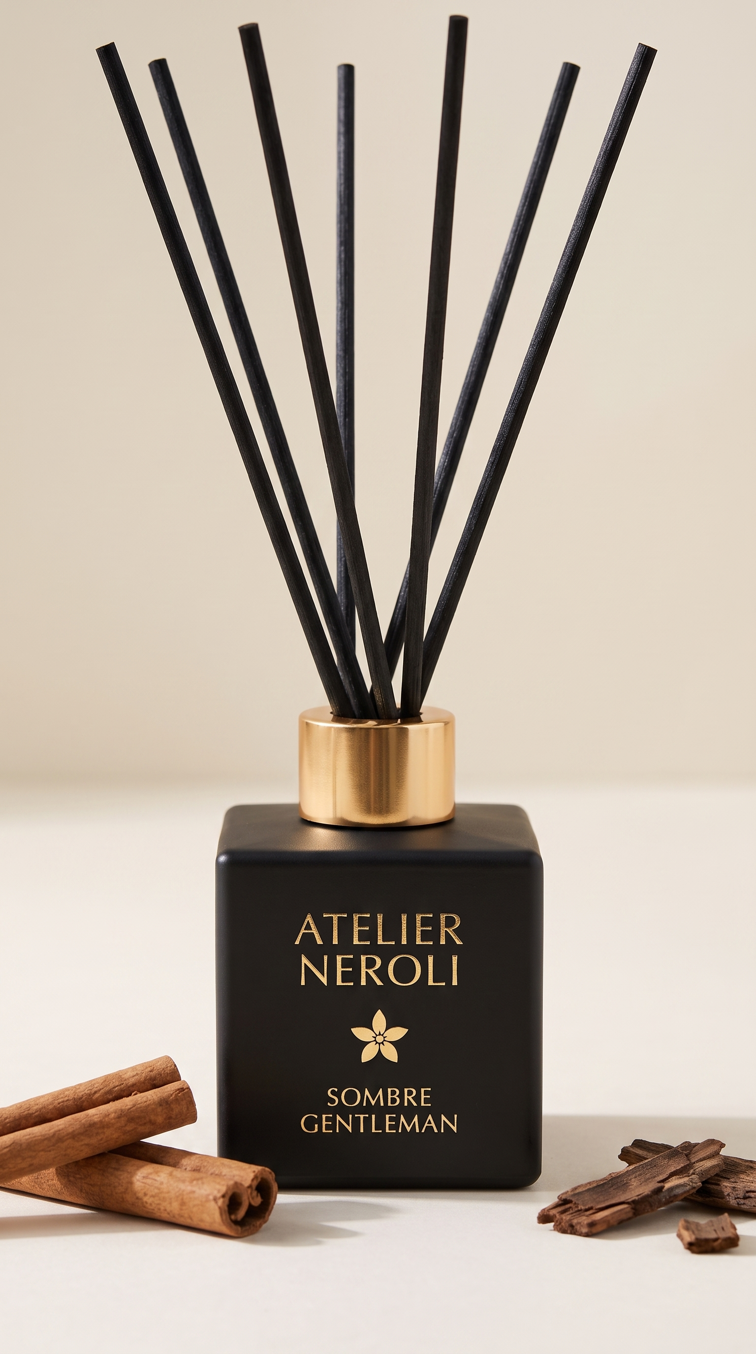 Diffuseur Maison – Ombre Galante