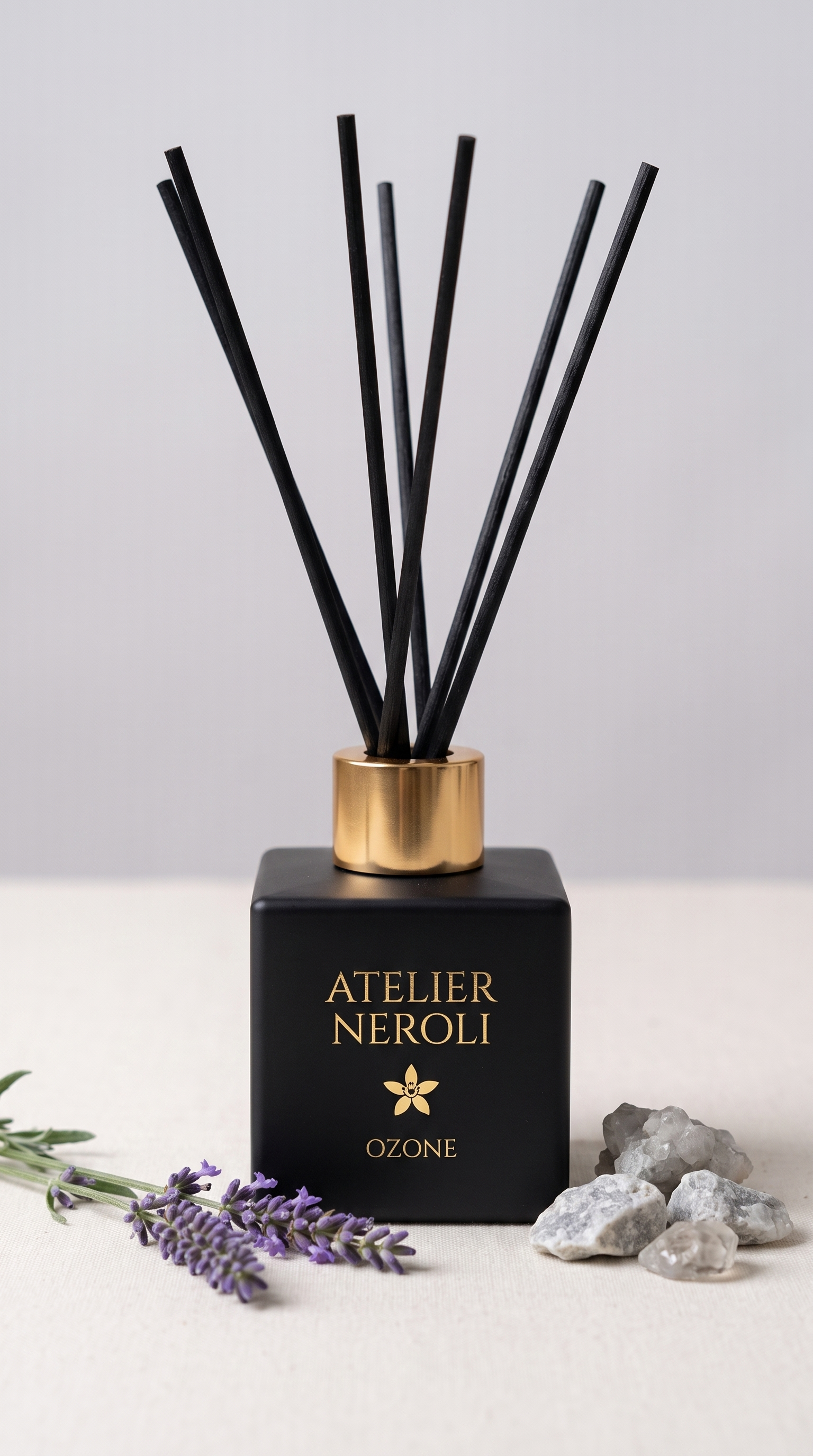 Diffuseur Maison – Ozone