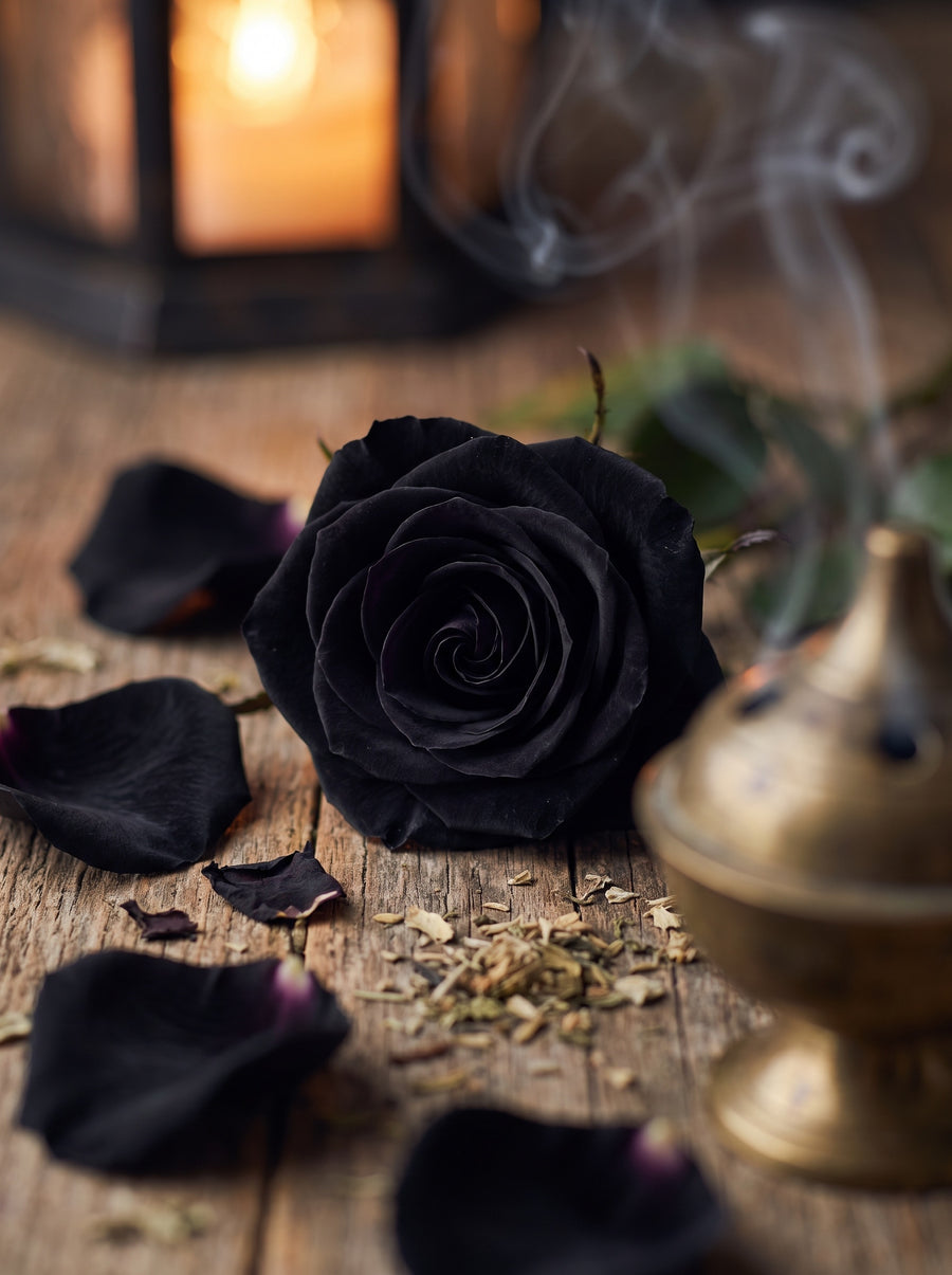 Bougie d'Ambiance – La Rose Noire — matières — Atelier Neroli
